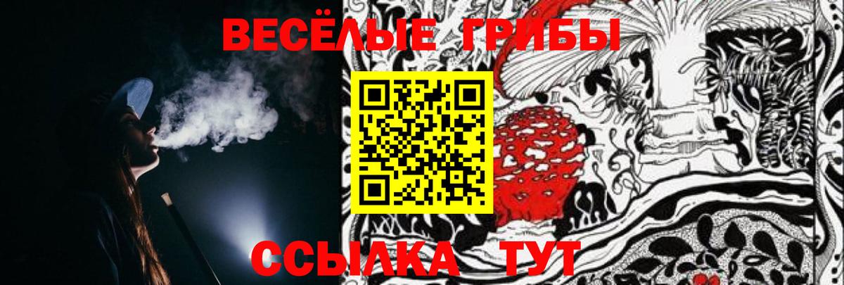 Галлюциногенные грибы мицелий  Вход с VPN  Новомосковск 